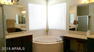 11050 E Renfield Ave, Mesa, AZ 85212 photo 46