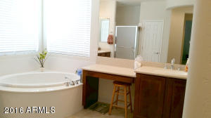 11050 E Renfield Ave, Mesa, AZ 85212 photo 48