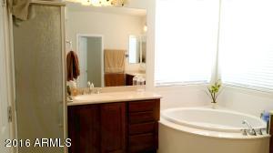 11050 E Renfield Ave, Mesa, AZ 85212 photo 47