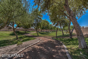 2513 W Darrel Rd, Phoenix, AZ 85041 photo 35