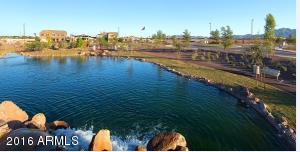 3703 E Strawberry Dr, Gilbert, AZ 85298 photo 5