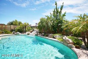 6515 E Fox St, Mesa, AZ 85205 photo 17