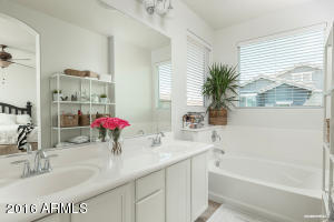 3342 E Marlene Dr, Gilbert, AZ 85296 photo 16