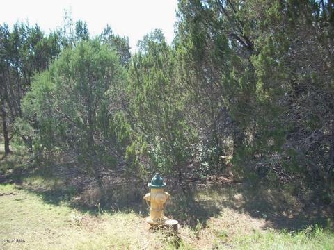 3409 Apache Dr, Overgaard, AZ 85933 photo 5