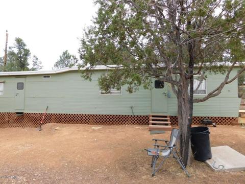 3409 Apache Dr, Overgaard, AZ 85933 photo 14
