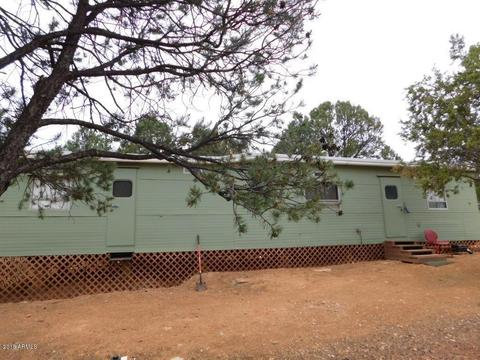 3409 Apache Dr, Overgaard, AZ 85933 photo 3