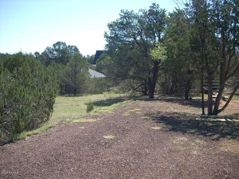 3409 Apache Dr, Overgaard, AZ 85933 photo 4