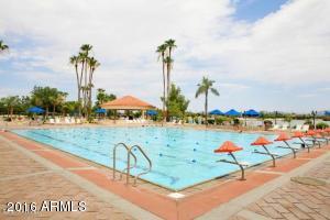1633 E Lakeside Dr #197, Gilbert, AZ 85234 photo 28