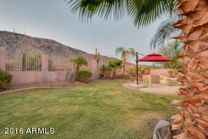 802 E Desert Flower Ln, Phoenix, AZ 85048 photo 33