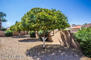 4038 E Round Hill Dr, Phoenix, AZ 85028 photo 30