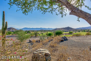 1630 E Brookwood Ct, Phoenix, AZ 85048 photo 61