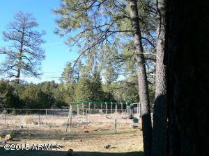3139 Ranch Rd, Overgaard, AZ 85933 photo 3