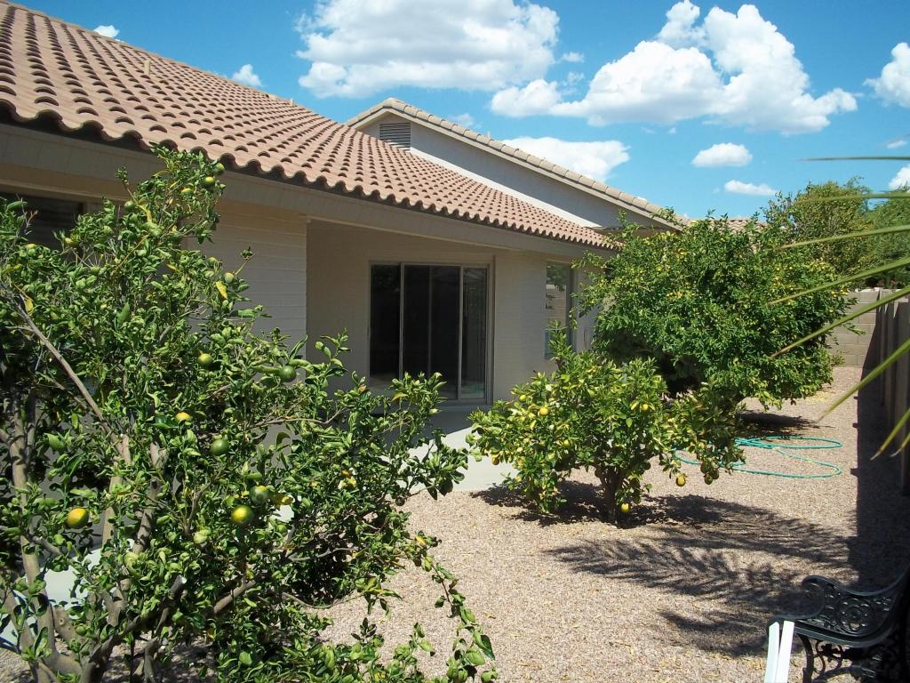 11049 E Nichols Ave, Mesa, AZ 85209 photo 10