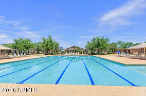 3997 E Maplewood St, Gilbert, AZ 85297 photo 35