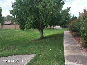 1129 E Beryl Ave, Phoenix, AZ 85020 photo 3