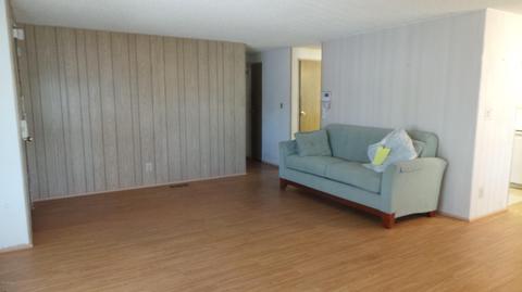 7335 E Azalea Ave, Mesa, AZ 85208 photo 3