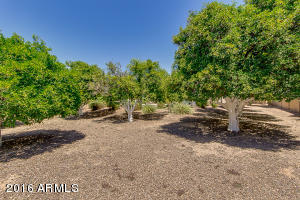 3239 E June Cir, Mesa, AZ 85213 photo 67