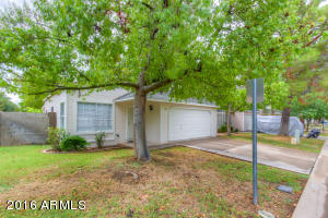441 S Maple St #83, Mesa, AZ 85206 photo 3