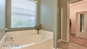 831 S Phelps Dr, Apache Junction, AZ 85120 photo 24