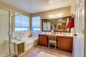 2908 E Nighthawk Way, Phoenix, AZ 85048 photo 38