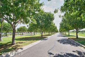 3329 E Cheyenne St, Gilbert, AZ 85296 photo 24