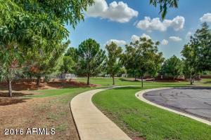 3552 E Cotton Ct, Gilbert, AZ 85234 photo 3