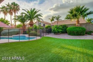 4566 E Villa Rita Dr, Phoenix, AZ 85032 photo 34