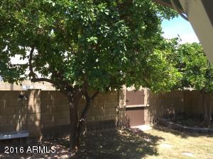 1554 E Todd Dr, Tempe, AZ 85283 photo 47