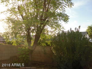 1554 E Todd Dr, Tempe, AZ 85283 photo 45