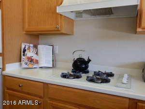 4523 E Jaeger Rd, Phoenix, AZ 85050 photo 12