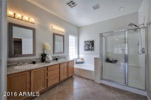 1135 S Oak Ct, Gilbert, AZ 85233 photo 14