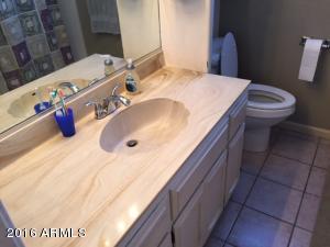 1315 E Indigo St, Mesa, AZ 85203 photo 19