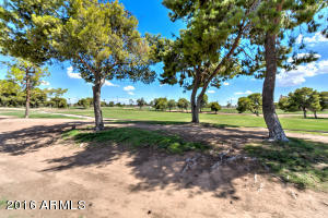 211 E Fleet Dr, Tempe, AZ 85283 photo 39