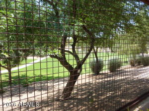 4228 S Butte Ln, Gilbert, AZ 85297 photo 20