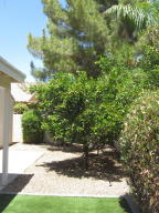 941 S Sailfish Dr, Gilbert, AZ 85233 photo 27