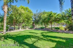 2315 E Iris Ct, Chandler, AZ 85286 photo 35