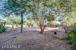 833 N Thunderbird Ave, Gilbert, AZ 85234 photo 29
