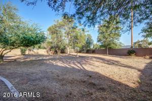 833 N Thunderbird Ave, Gilbert, AZ 85234 photo 32