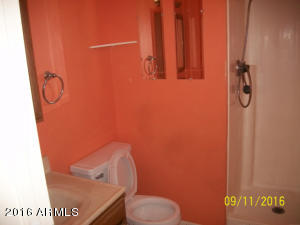 8016 E Jan Ave, Mesa, AZ 85209 photo 10