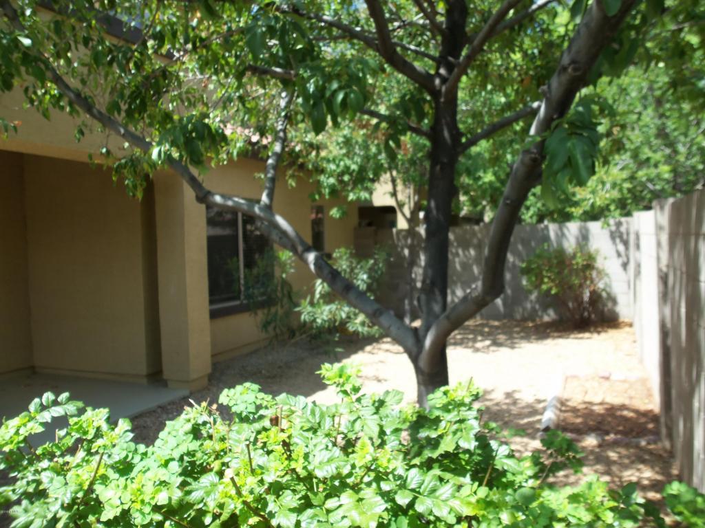 1574 Elgin St, Gilbert, AZ 85295 photo 13