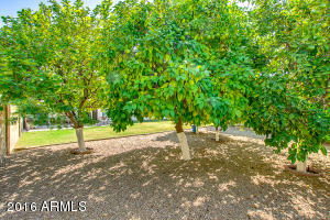 4630 E Bohl St, Phoenix, AZ 85044 photo 27
