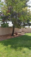 1319 E Tonto Ln, Phoenix, AZ 85024 photo 30