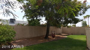 1319 E Tonto Ln, Phoenix, AZ 85024 photo 31