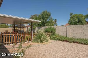 3836 E Acoma Dr, Phoenix, AZ 85032 photo 18
