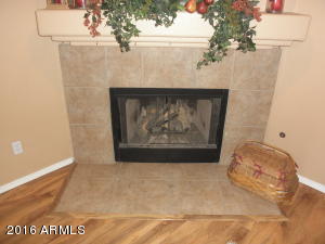 1925 E Pinto Dr, Gilbert, AZ 85296 photo 29