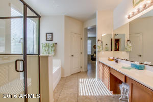 11020 E Quarry Ave, Mesa, AZ 85212 photo 24