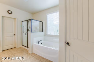 11020 E Quarry Ave, Mesa, AZ 85212 photo 21