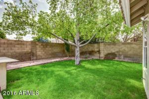 2663 N Roca Ave, Mesa, AZ 85213 photo 45