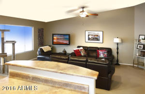 1716 E Beautiful Ln, Phoenix, AZ 85042 photo 18