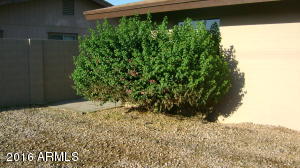 928 S S Spur, Mesa, AZ 85204 photo 17